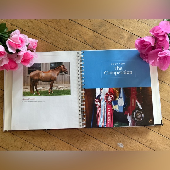 World- Class Grooming For Horses By Cat Hill and Emma Ford - Picture 2 of 3